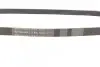 Ремінь генератора BMW X5 (E53) 4.4i/4.6is/Opel Astra 2.2 16V 00-03/Mazda 626 1.8 94-97/MX-5 2.0 15- CONTINENTAL Contitech 5PK1025 (фото 2)