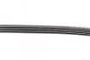 Ремінь генератора BMW X5 (E53) 4.4i/4.6is/Opel Astra 2.2 16V 00-03/Mazda 626 1.8 94-97/MX-5 2.0 15- CONTINENTAL Contitech 5PK1025 (фото 3)