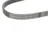 Ремень генератора Mazda 323/626 1.8-2.0 97-02/Opel Astra G/Vectra B/C 2.0/2.2 00-08 CONTINENTAL Contitech 5PK1030 (фото 4)
