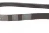 Комплект ремня генератора Renault Kangoo/Clio/Laguna/Megane 1.4i/1.6i 97- CONTINENTAL Contitech 5PK1110K1 (фото 6)