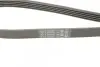 Ремень генератора VW Touareg 4.2 FSI 06-18/Toyota Avensis/Camry/Corolla 1.8/2.0D 86-03 CONTINENTAL Contitech 5PK1120 (фото 4)
