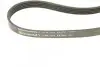 Ремень генератора Volvo S40/S60/S80/V40/V60/V70/XC60/XC70 00- (5PK1121) CONTINENTAL Contitech 5PK1121 EXTRA (фото 3)