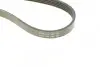 Ремень генератора Volvo S40/S60/S80/V40/V60/V70/XC60/XC70 00- (5PK1121) CONTINENTAL Contitech 5PK1121 EXTRA (фото 4)