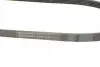 Ремень генератора Renault Kangoo/Megane/Laguna 1.4/1.5 dCi/1.6 03-/Audi A6 4.2FSI 06-11 CONTINENTAL Contitech 5PK1135 (фото 3)