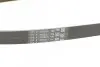 Ремень генератора Opel Combo/Astra G 1.4-1.8 98-10/Kia Ceed/Rio 1.2/1.4 14-/Hyndai i20/i30 1.4 14- CONTINENTAL Contitech 5PK1212 (фото 3)