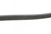 Ремень генератора MB A-class (W168) 97-04 CONTINENTAL Contitech 5PK1290 (фото 2)