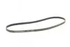 Ремень генератора MB A-class (W168) 97-04 CONTINENTAL Contitech 5PK1290 (фото 5)