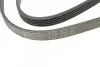 Ремінь генератора Mitsubishi Galant 2.0/2.4 GDI 96-04 CONTINENTAL Contitech 5PK1330 (фото 4)