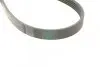 Ремінь генератора Mitsubishi Carisma 1.8i 95-06/Pajero 1.8-3.0 88-07/Volvo S40/V40 1.8i 98-04 CONTINENTAL Contitech 5PK1345 (фото 3)