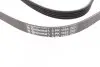 Ремінь генератора Mitsubishi Space Runner/Wagon/Hyundai Santa Fe/Kia Sorento 2.0/2.4 GDI 99- CONTINENTAL Contitech 5PK1393 (фото 3)