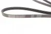 Ремень генератора Opel Zafira/Astra 1.6/1.8 05-15/Fiat 1.6/1.8 05-/Chevrolet Orlando 1.8 11- CONTINENTAL Contitech 5PK1546 (фото 2)