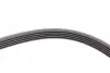 Ремень генератора Opel Zafira/Astra 1.6/1.8 05-15/Fiat 1.6/1.8 05-/Chevrolet Orlando 1.8 11- CONTINENTAL Contitech 5PK1546 (фото 3)