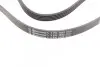 Ремень генератора VW Passat 1.9TDI 96-00/Audi A4/A6 1.9TDI 95-01/Kia Carnival 2.9TDi/CRDi 99-06 CONTINENTAL Contitech 5PK1592 (фото 2)
