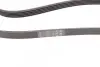 Ремень генератора VW Passat 1.9TDI 96-00/Audi A4/A6 1.9TDI 95-01/Kia Carnival 2.9TDi/CRDi 99-06 CONTINENTAL Contitech 5PK1592 (фото 3)