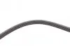 Ремень генератора VW Passat 1.9TDI 96-00/Audi A4/A6 1.9TDI 95-01/Kia Carnival 2.9TDi/CRDi 99-06 CONTINENTAL Contitech 5PK1592 (фото 4)