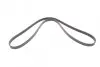 Ремень генератора VW Passat 1.9TDI 96-00/Audi A4/A6 1.9TDI 95-01/Kia Carnival 2.9TDi/CRDi 99-06 CONTINENTAL Contitech 5PK1592 (фото 5)