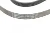 Ремень генератора Opel Astra G/H 2.0 05-10/Insignia 1.5 17- CONTINENTAL Contitech 5PK1680 (фото 4)