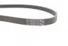 Ремінь генератора Renault Kangoo/Megane/Logan 1.4/1.6i 97-/Opel Insignia 2.0 17- CONTINENTAL Contitech 5PK1750 (фото 2)