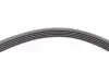 Ремінь генератора Renault Kangoo/Megane/Logan 1.4/1.6i 97-/Opel Insignia 2.0 17- CONTINENTAL Contitech 5PK1750 (фото 4)