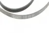 Ремень генератора Hyundai Accent/Getz/i30/Kia Rio/Cerato 1.5CRDi 05- CONTINENTAL Contitech 5PK1800 (фото 4)