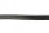 Ремень генератора BMW 5 (E39)/7 (E38) 2.5TDS 96-04/Kia Cerato/Rio/Hyundai Accent 1.5/1.6CRDI 05- CONTINENTAL Contitech 5PK1850 (фото 2)