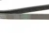 Ремень генератора BMW 5 (E39)/7 (E38) 2.5TDS 96-04/Kia Cerato/Rio/Hyundai Accent 1.5/1.6CRDI 05- CONTINENTAL Contitech 5PK1850 (фото 3)