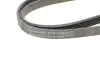 Ремень генератора BMW 5 (E39)/7 (E38) 2.5TDS 96-04/Kia Cerato/Rio/Hyundai Accent 1.5/1.6CRDI 05- CONTINENTAL Contitech 5PK1850 (фото 4)