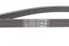 Ремінь генератора Opel Omega B 2.5DTI 01-03/Land Rover Range Rover 3.0D 02-12 CONTINENTAL Contitech 5PK2020 (фото 2)