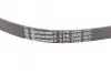 Ремінь генератора Opel Omega B 2.5DTI 01-03/Land Rover Range Rover 3.0D 02-12 CONTINENTAL Contitech 5PK2020 (фото 3)