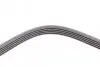 Ремінь генератора Opel Omega B 2.5DTI 01-03/Land Rover Range Rover 3.0D 02-12 CONTINENTAL Contitech 5PK2020 (фото 4)