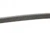 Ремінь генератора BMW 3 (E46)/5 (E39)/7 (E38)/X5 (E53) 3.0D 98-05 CONTINENTAL Contitech 5PK2060 (фото 2)