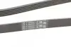 Ремінь генератора BMW 3 (E46)/5 (E39)/7 (E38)/X5 (E53) 3.0D 98-05 CONTINENTAL Contitech 5PK2060 (фото 3)