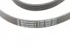 Ремінь генератора BMW 3 (E46)/5 (E39)/7 (E38)/X5 (E53) 3.0D 98-05 CONTINENTAL Contitech 5PK2060 (фото 4)