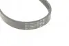 Ремінь генератора Ford C-Max/ Focus/ Volvo S40 1.8-2.0 06-12 CONTINENTAL Contitech 5PK705 ELAST (фото 4)