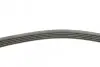 Ремінь генератора Mazda 5 1.8/2.0 05-/Mazda 3 2.0/MZR 03-14 (+AC) CONTINENTAL Contitech 5PK716 ELAST (фото 2)
