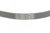 Ремінь генератора Ford Focus 1.6i CONTINENTAL Contitech 5PK868 ELAST (фото 3)