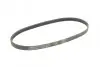 Ремень генератора Renault Kangoo 1.2i 97-/Subaru Impreza 2.0 05-07/Nissan Pathfinder 4.0 05- CONTINENTAL Contitech 5PK875 (фото 5)