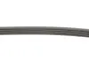 Доріжковий ремінь Contitech 5PK898 ELAST (фото 3)