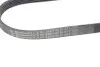 Дорожный пас Contitech 5PK926ELAST (фото 3)