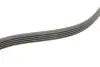 Ремень генератора VW Beetle/Jetta 2.5 10- CONTINENTAL Contitech 5PK934 (фото 3)