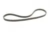 Ремень генератора VW T5 1.9TDI/VW Caddy 1.6 04-15/Ford Galaxy 1.9TDI 95-06 CONTINENTAL Contitech 6DPK1195 (фото 3)