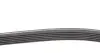 Комплект паса поликлинового Audi A3/Seat Leon/Sko Contitech 6DPK1195K1 (фото 2)