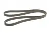 Ремінь генератора Volvo C70/S60/S70/S80/XC90 2.0T/2.4D/3.0T6 98-14 CONTINENTAL Contitech 6DPK1825 (фото 3)