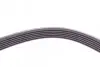 Ремень генератора Volvo C70/S40/S80/S70/V70/XC70/XC90 2.0-3.0 98-14 CONTINENTAL Contitech 6DPK1841 (фото 2)