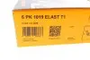 Ремінь генератора Ford Fiesta/Focus 1.4/1.6i 16V 01-12 (6PK1019 ELAST+5PK690 ELAST) CONTINENTAL Contitech 6PK1019 ELAST T1 (фото 13)