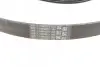Ремінь генератора Ford Fiesta/Focus 1.4/1.6i 16V 01-12 (6PK1019 ELAST+5PK690 ELAST) CONTINENTAL Contitech 6PK1019 ELAST T1 (фото 6)