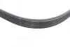 Ремінь генератора Ford Fiesta/Focus 1.4/1.6i 16V 01-12 (6PK1019 ELAST+5PK690 ELAST) CONTINENTAL Contitech 6PK1019 ELAST T1 (фото 7)