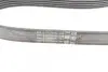 Ремінь генератора Ford Fiesta/Focus 1.4/1.6i 16V 01-12 (6PK1019 ELAST+5PK690 ELAST) CONTINENTAL Contitech 6PK1019 ELAST T1 (фото 10)
