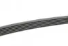 Ремінь генератора MB 310 2.9D CONTINENTAL Contitech 6PK1020 (фото 2)