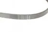 Ремень генератора Ford Fiesta VI 1.25-1.6Ti 08- CONTINENTAL Contitech 6PK1033 ELAST (фото 3)